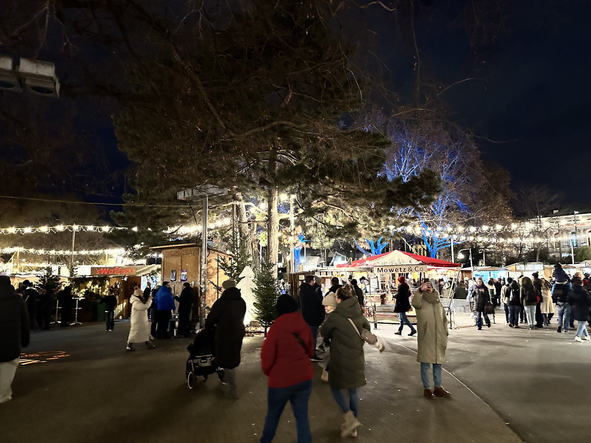 Christmas-markets-in-vienna-DG_9848