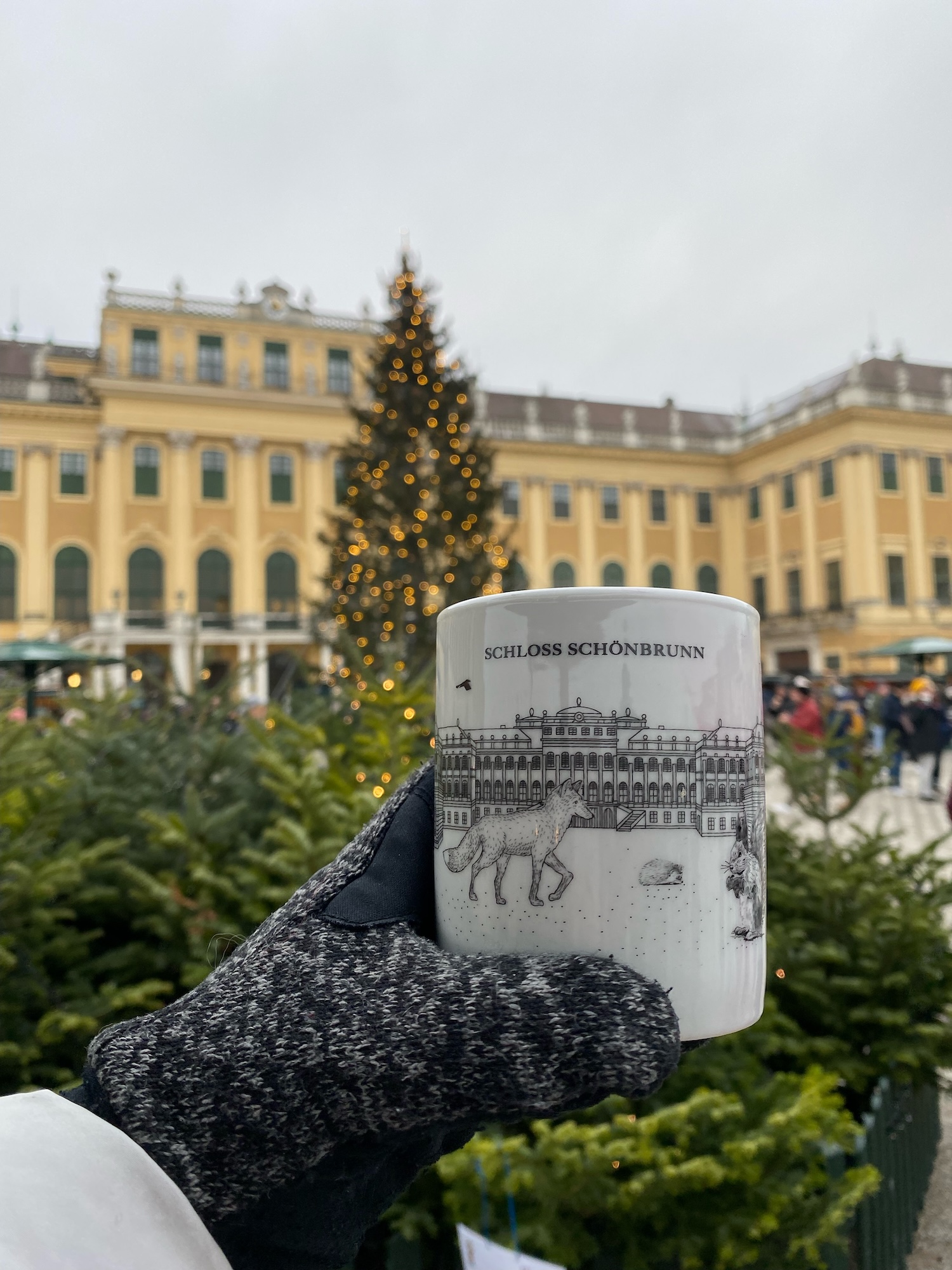 Christmas-markets-in-vienna-mulled-wine-dg-4323
