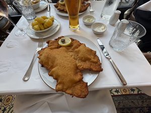 fun facts about vienna